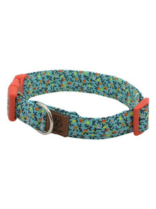 Turquoise French Country Collar