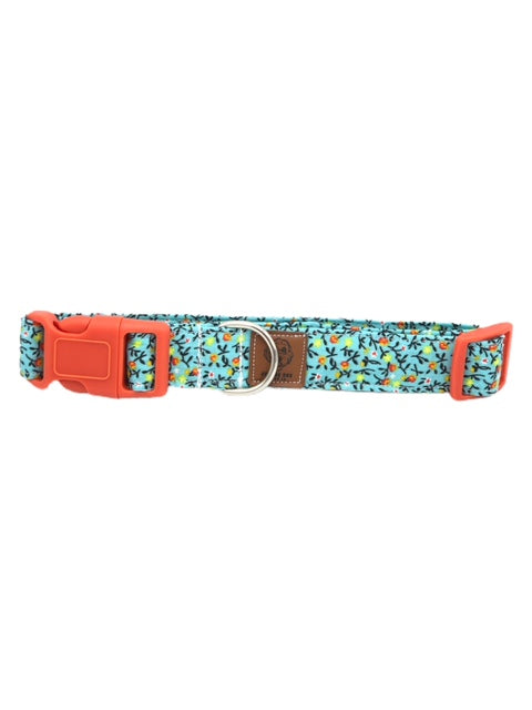 Turquoise French Country Collar