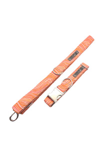 Orange Sea Glass Collar & Leash Set